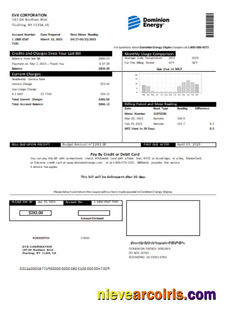 Dominion Energy utility business bill